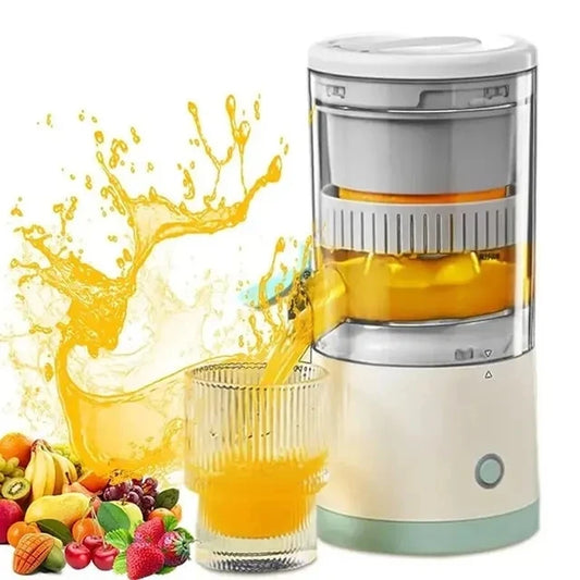 Portable Small Electric Juicer Stainless Steel 